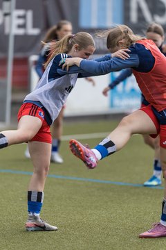 Bild 69 - wBJ Hamburger SV - FC Suederelbe : Ergebnis: 9:0